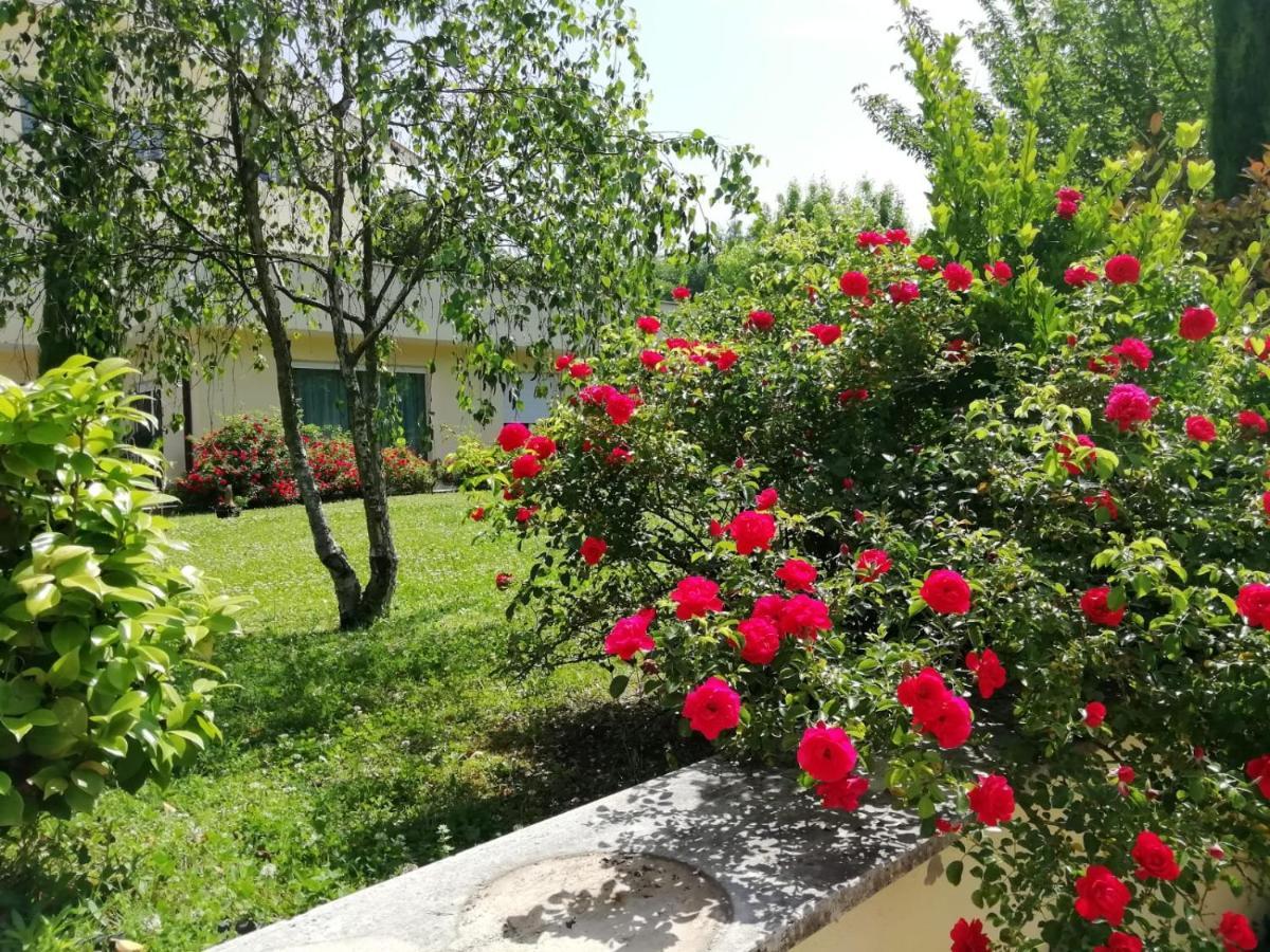 B&B Terra Del Sole Valmontone Luaran gambar
